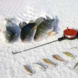 Приманки для зимней рыбалки