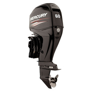 купить лодочный мотор mercury me f 60 elpt efi в Пскове