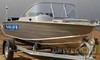 купить российские алюминиевые катера wyatboat-460 в Пскове