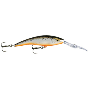 купить rapala deep tail dancer tdd 11cm 22g sf в Пскове