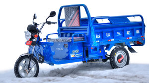 купить трицикл электрический tailg tl800 в Пскове