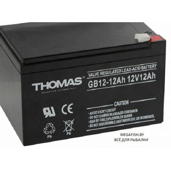 купить аккумуляторная батарея thomas gb 12-12 ah в Пскове