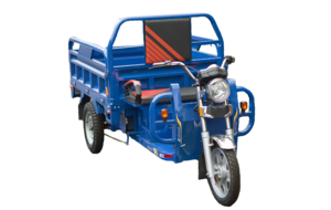 купить электротрицикл tailg tl1000 в Пскове