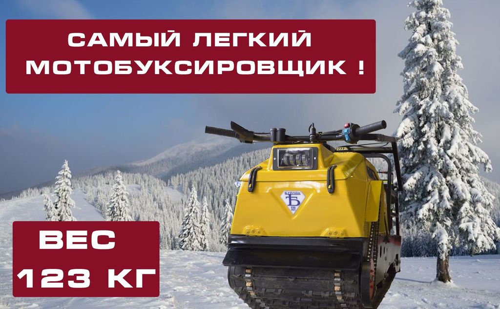 купить мотобуксировщик бурлак пионер в Пскове