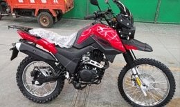купить мотоцикл fireguard 200 trail в Пскове
