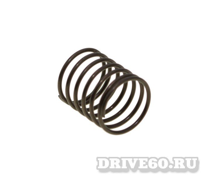 купить пружина редуктора для suzuki df2.5 (оригинал) в Пскове