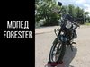 купить мопед forester в Пскове
